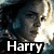 A four- displays pixelated character images with overlaid text: 'Harry' top-left, 'Potter' top-right, 'Rules' bottom-left