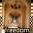repeated architectural images with text overlays showing partial and full 'freedom' and 'reedom' text fragments