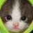 A pixelated close-up of a kitten's face with brown and white fur, dark eyes, pink nose, and green background.