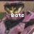 Animated icon shows a character with dark hair and pink clothing, displaying text changes across frames.