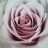 A pixelated close-up of a pink rose with layered petals, set against a light gray background with subtle green and blue tones.