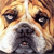 Pixelated close-up of a dog's face with brown and white fur, black eyes, and a dark nose on a light background.