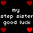 Black background with red pixel hearts and white text repeating 'my step sisterstep sister good luck' in two identical