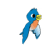 Animated blue bird with orange chest and yellow beak in six sequential poses showing wing extension, body rotation, and tail movement against white background.