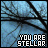 A 48x48 pixel animated buddy icon featuring a blue-toned background with tree branches and the text "YOU ARE STELLAR" in two different color variations across frames.