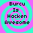 Four identical display pixelated text 'Burcu Is Hacken Awesome' over a cyan and magenta spiral background with no visible animation changes