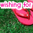 A static image shows pink flip-flops on green grass with overlaid text reading "wishing for high of 75" in pink and white lettering.