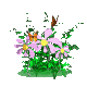 Animated sequence of pink flowers with yellow centers and green foliage, featuring butterflies in various positions