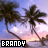 Pixelated sunset scene with two palm trees and a gradient sky, featuring text reading 'BRANDY' in blocky font at the bottom left.