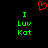 Red pixelated heart symbol above green text reading 'I Luv Kat' on black background, duplicated side-by-side.