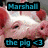 A static buddy icon featuring three animal images with text labels: a pig, cat, and bunny each labeled with names and heart symbols.