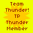 Yellow background with four identical pixelated sunburst icons displaying brown text reading "Team Thunder! TP Thunder Member" in a