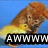 Animated sequence of a brown dog and yellow cat on blue background with text overlays.