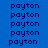 Blue background with repeated 'payton' text in dark blue, some text blocks highlighted in cyan green.