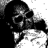 Black-and-white pixelated image with large bold text 'PP' and 'P' over a globe symbol, featuring two figures with sunglasses and halftone patterns.