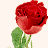 A pixelated red rose with green leaves and stem, rendered in a low-resolution style against a plain white background.