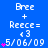 Blue background with repeated white text 'Bree + Reece= <3 5/06/09' and pink star symbols, showing animation changes in star count per