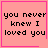 Four pink square with black text "you never knew I loved you" arranged in a , each bordered by a thin pink line, with one containing a small pink heart and another a small pink starburst symbol