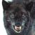 A pixelated wolf head with bared teeth on the left, next to green text reading 'Original Icons .com' on a dark green background.