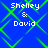 Blue background with green diamond-shaped pattern and white text reading "Shelley & David" in four identical quadrants