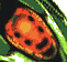 A pixelated orange face with black eyes and mouth appears inside a green curved shape, changing expression across frames.