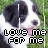 A black-and-white dog with a pink tongue appears in multiple , each overlaid with pixelated text reading "love me for me" against a green grass background