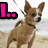 Four animal images arranged in a with pink text overlays reading 'L..', 'LOVE.', and 'Animals' on a pixelated background