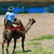 A pixelated camel stands on a sandy ground with green patches, wearing a red saddle and blue headgear, against a blue sky background.
