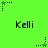 Green background with repeating 'Kelli' text and star-shaped icons in dark blue and green, showing animation changes across frames.
