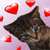 Love icons for AIM, MSN, MySpace and Yahoo