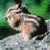 A pixelated image of a person with light hair in a white shirt against green background, next to bright green text reading "Original Icons .com" on dark green.