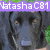 A static buddy icon featuring a black dog, two puppies, and a cat with text overlays.
