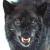 A static pixelated image of a dark-furred animal's face with light eyes and a mouth showing teeth, set against a white background.