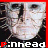 iconhell_gorgeousdivachic_PinheadIcon