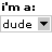 Pixelated interface shows dropdowns with 'dude', 'chick', 'chicks', 'dudes' text and cursor interactions across multiple