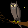 Animated owl on branch with changing background elements including lightning and house silhouettes.