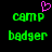 Green pixelated text 'camp' and 'badger' on black background with pink heart above 'camp' in top-left view.