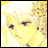Pixelated anime-style character with blonde hair and brown eyes on left, black background with white text on right.