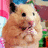 Pixelated image of a light brown hamster with dark eyes and black ears holding its paws near its mouth, next to purple text reading "munch munch" on white background.