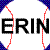 Pixelated black text 'ERIN' on white background with red zigzag line and blue pixel clusters at corners.