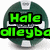 Pixelated green text 'Hale' and 'dleyba' on a dark teal circular background with white accents, rendered in a retro digital style.