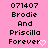 Pixelated text on pink background reads '071407 Brodie And Priscilla Forever' with white heart symbol replacing 'e' in 'Forever'.