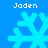 Four identical pixelated snowflakes on a blue background with the text 'Jaden' above and below each snowflake.
