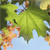 Pixelated green leaf with brown stem and orange-brown accents against light blue background, no visible text or motion.