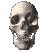 A grayscale 3D-rendered skull viewed from multiple angles in a , showing front, side, and back perspectives with visible jaw and eye socket details