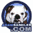 Pixelated skull icon with blue border and 'com' text at bottom, featuring brown and white facial details and dark eye sockets.
