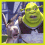 A green ogre with large ears and a white shirt appears in alongside a brown-and-white donkey, showing facial expressions like smiling and open-mouthed surprise