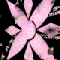 Animated sequence of pink flower shapes, white winged figures with green accents, and a character in green attire against black and light backgrounds.