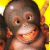 A pixelated cartoon monkey with a yellow background and green text reading "Be Happy" on the right side of the image.