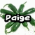 Six identical green chili pepper arrangements in a , each with a name label overlaid